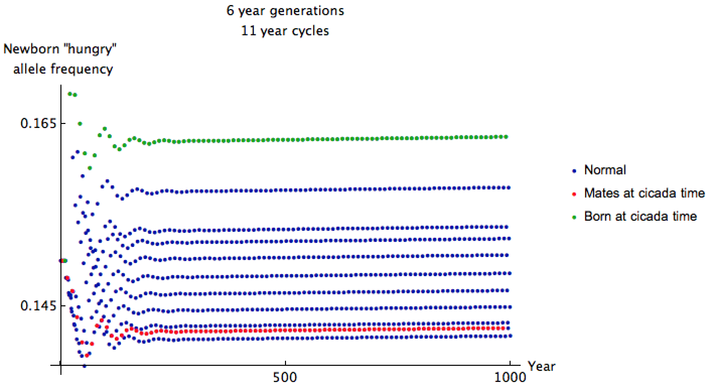 Plot of hungry allele frequency by year, zoomed in to nearly constant curves, showing slightly low hungry frequency for predators mating during cicada time and slightly high hungry frequency for predators born during that time